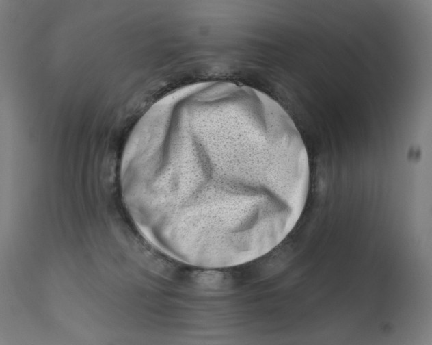 X0000112180230200909041237