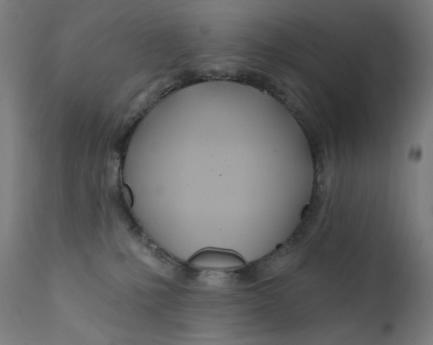 X0000112180231200909041237
