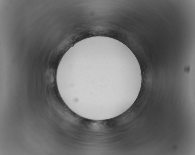 X0000112180232200909041237