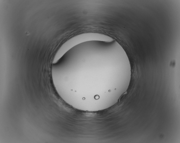 X0000112180233200909041237