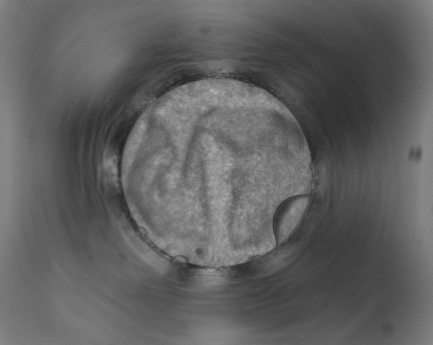 X0000112180238200909041237