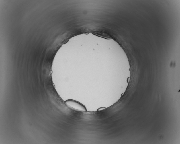 X0000112180240200909041237
