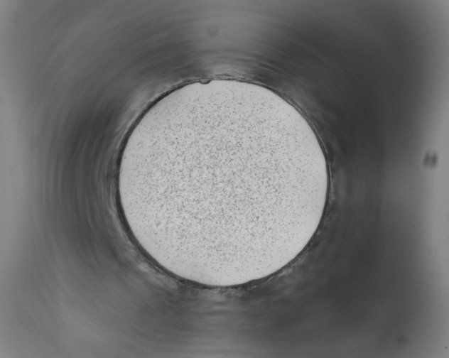 X0000112180241200909041237