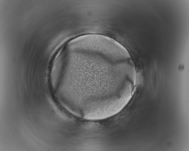 X0000112180243200909041237