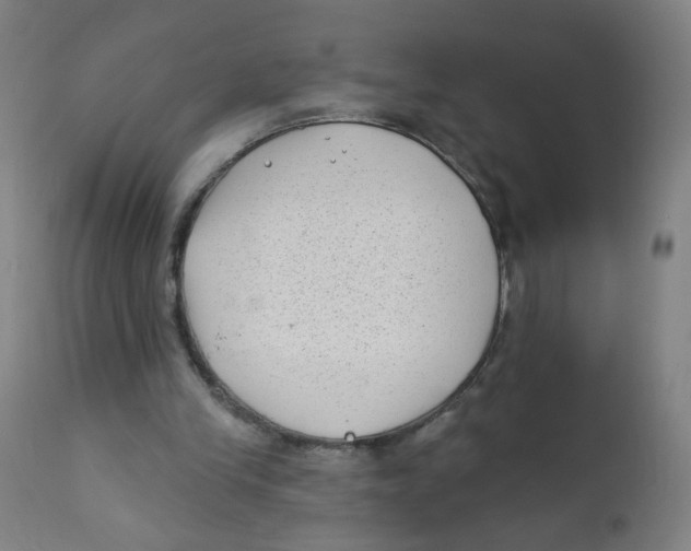 X0000112180245200909041237