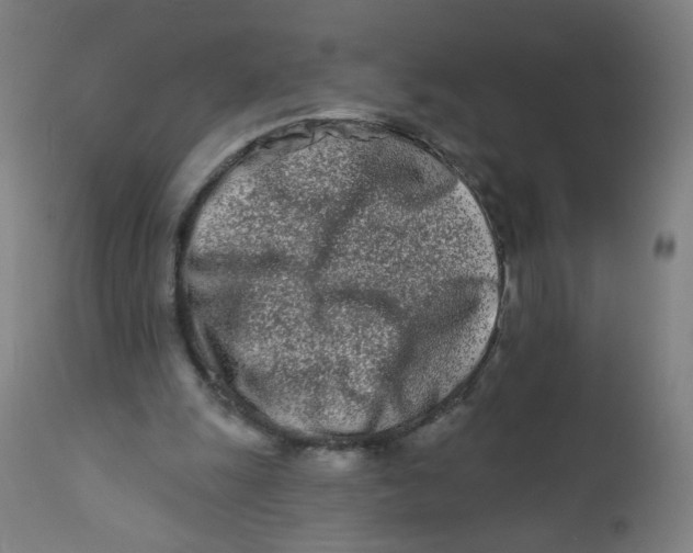 X0000112180247200909041237