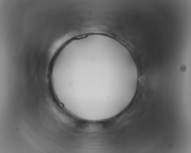 X0000112180248200909041237