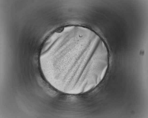 X0000112180249200909041237