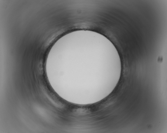 X0000112180251200909041237