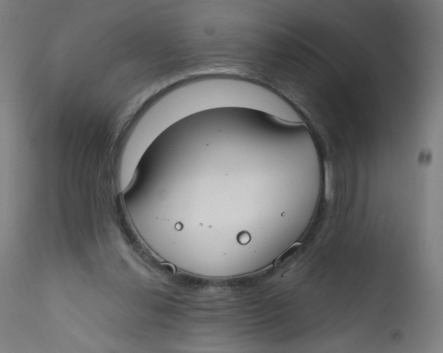 X0000112180252200909041237