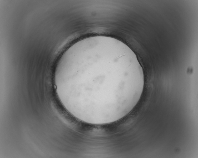 X0000112180256200909041237