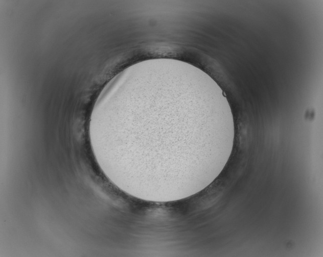 X0000112180259200909041237