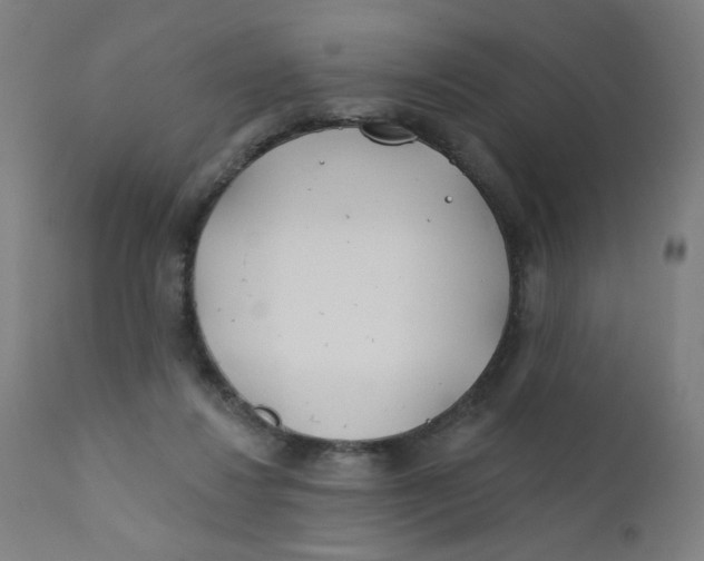 X0000112180260200909041237