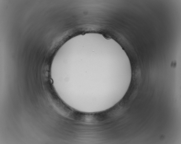 X0000112180264200909041237