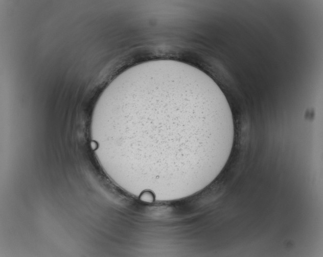X0000112180266200909041237