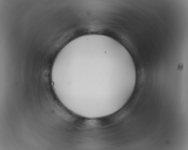 X0000112180269200909041237