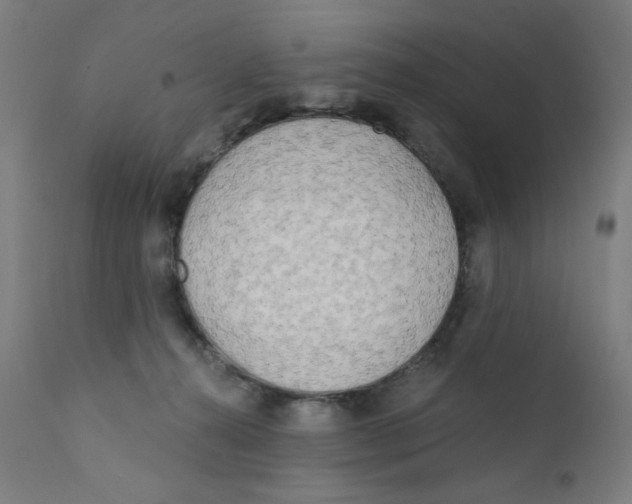 X0000112180272200909041237