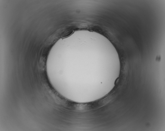 X0000112180273200909041237