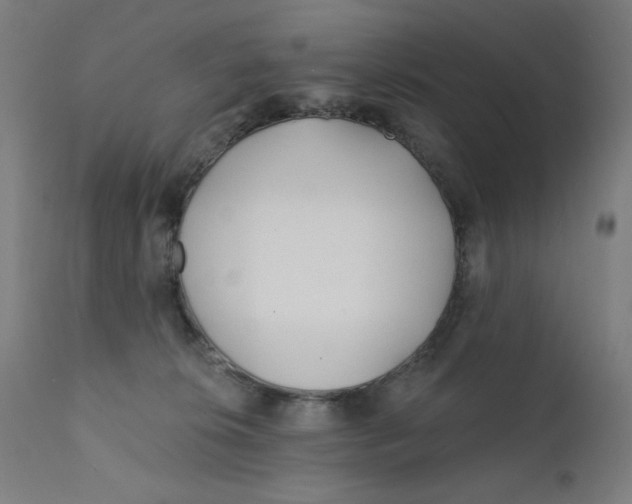 X0000112180276200909041237