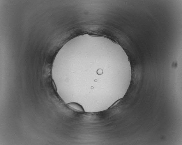 X0000112180284200909041237