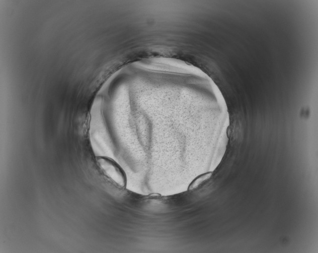 X0000112180285200909041237