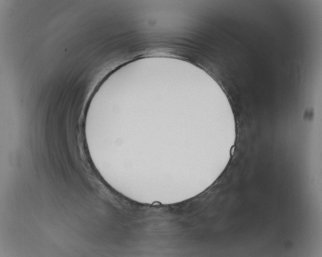 X0000112180289200909041237