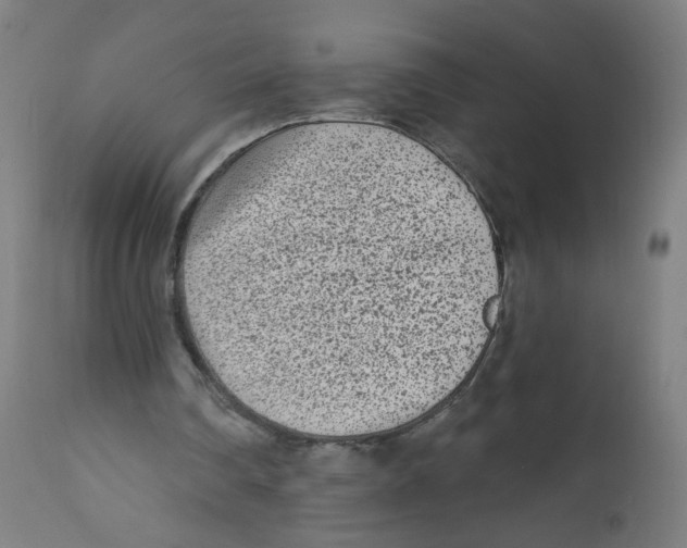 X0000112180290200909041237