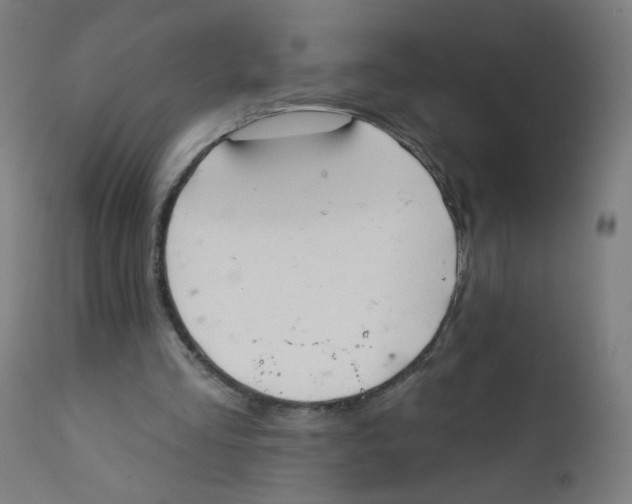 X0000112180293200909041236