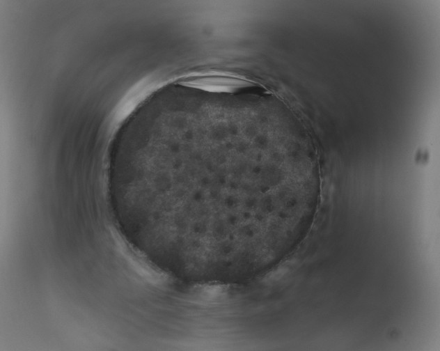 X0000112180295200909041236