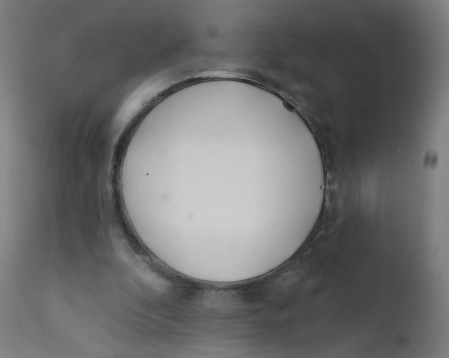 X0000112180296200909041236