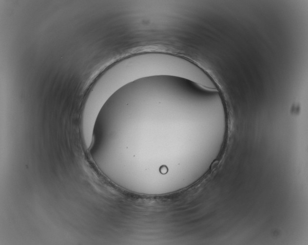 X0000112180297200909041236