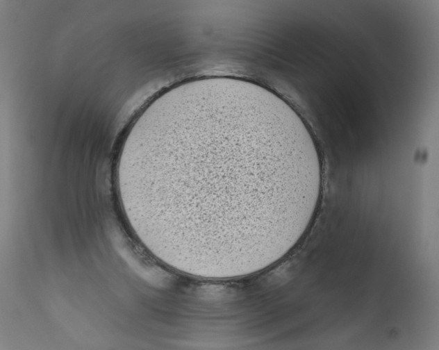 X0000112180298200909041236