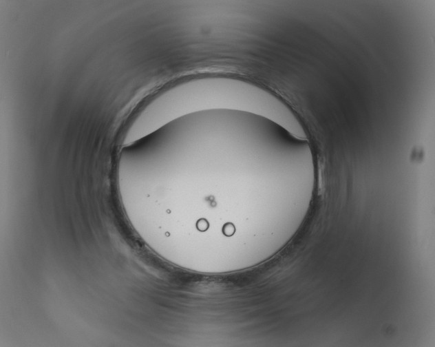 X0000112180300200909041236