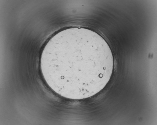 X0000112180301200909041236