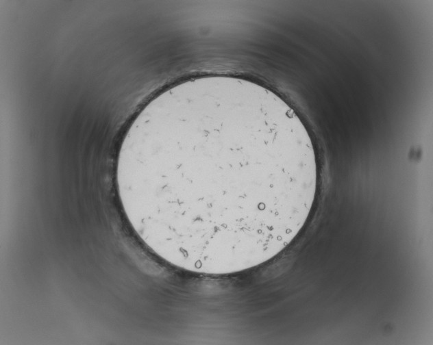 X0000112180305200909041236