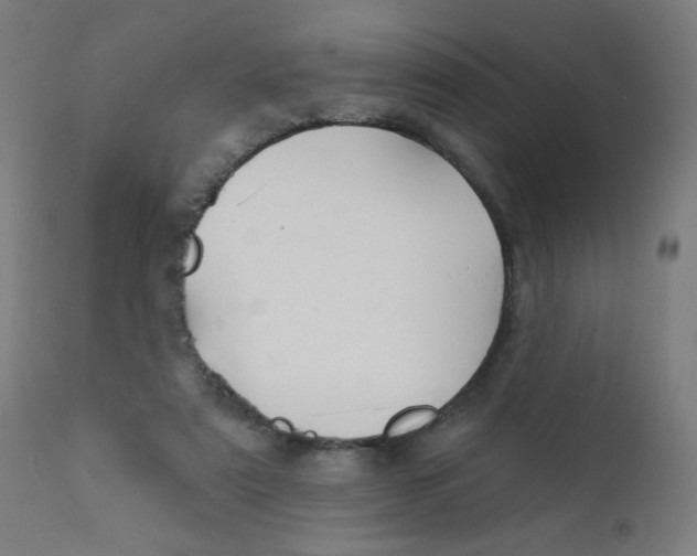 X0000112180307200909041236