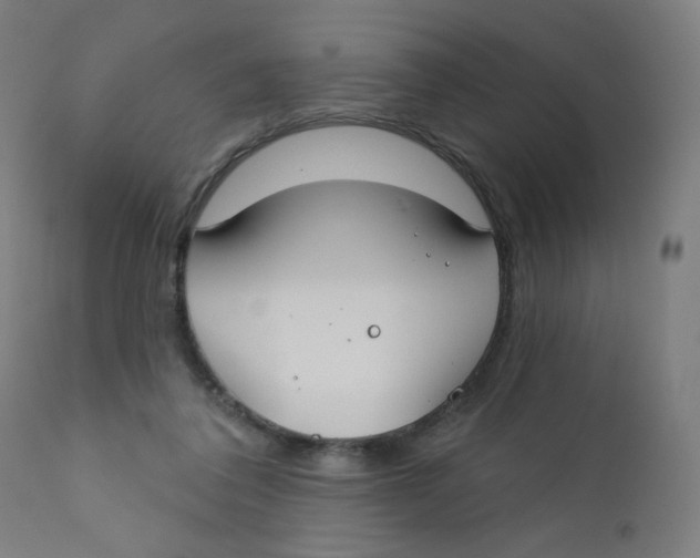 X0000112180308200909041236