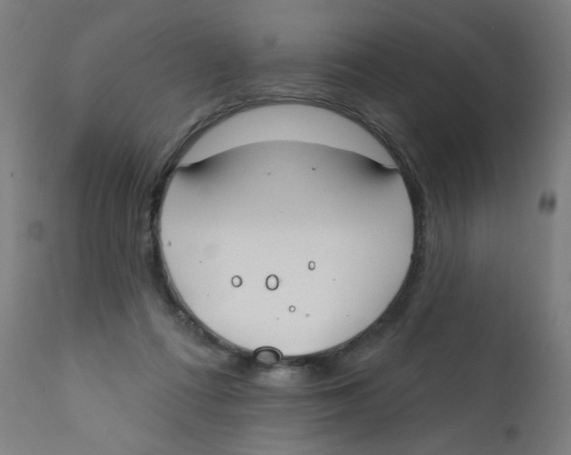 X0000112180312200909041236