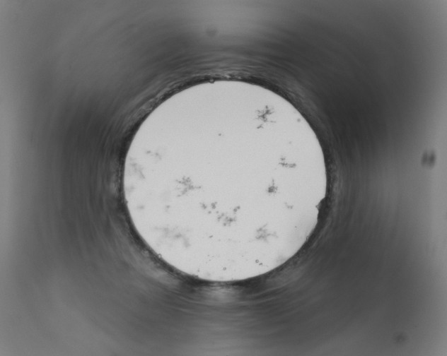 X0000112180313200909041236