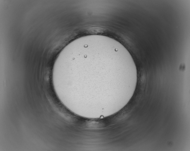 X0000112180315200909041236