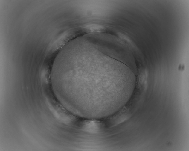 X0000112180316200909041236
