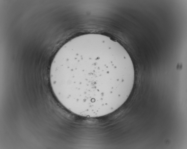 X0000112180317200909041236