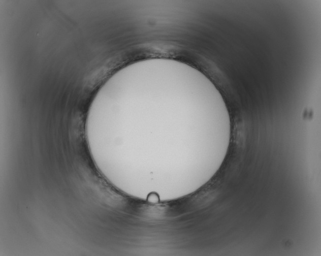 X0000112180318200909041236