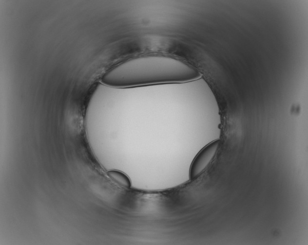 X0000112180324200909041236