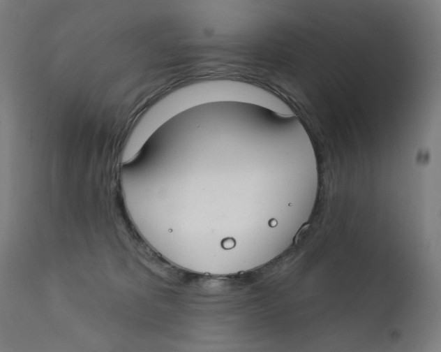 X0000112180325200909041236