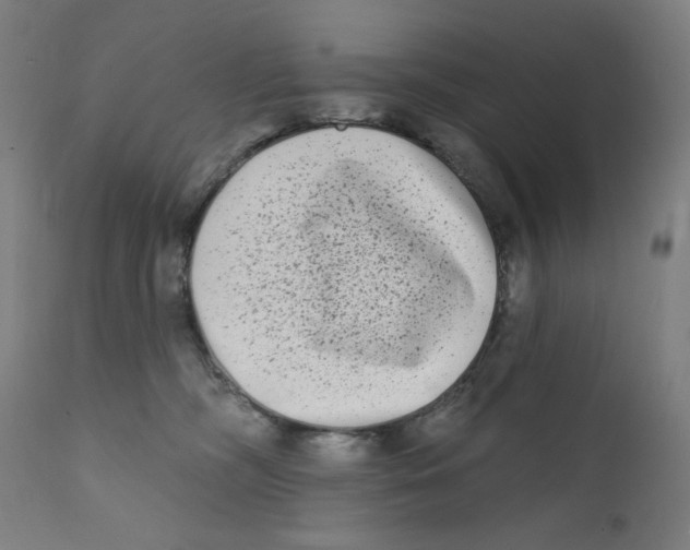 X0000112180326200909041236