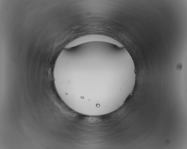 X0000112180327200909041236