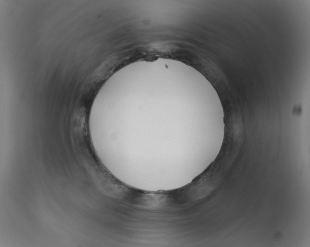 X0000112180328200909041236