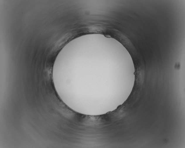 X0000112180329200909041236