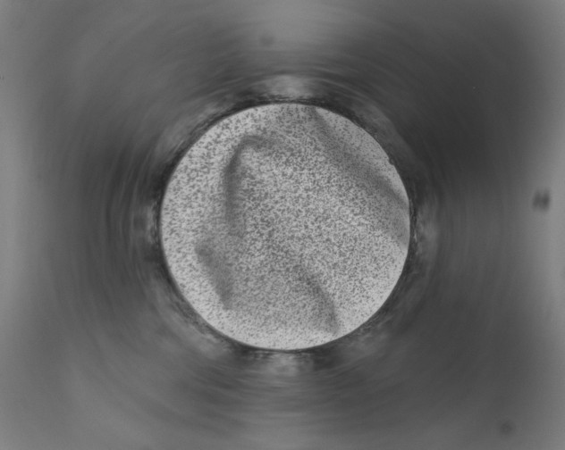 X0000112180330200909041236
